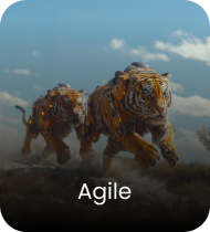 Agile Agile