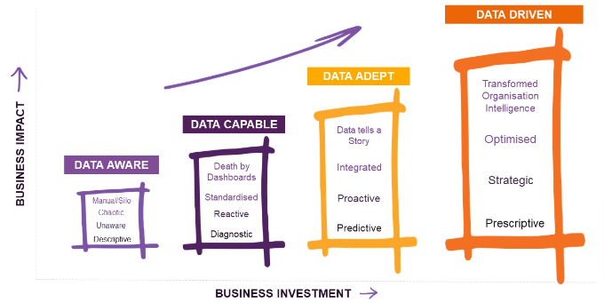 Data maturity model