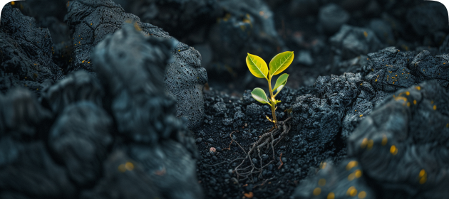 Managed DevOps Services Managed DevOps Services